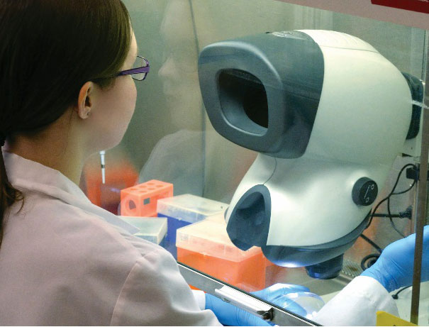층류 캐비닛 내부에서 Mantis 현미경을 사용하는 안경을 쓴 실험실 기술자